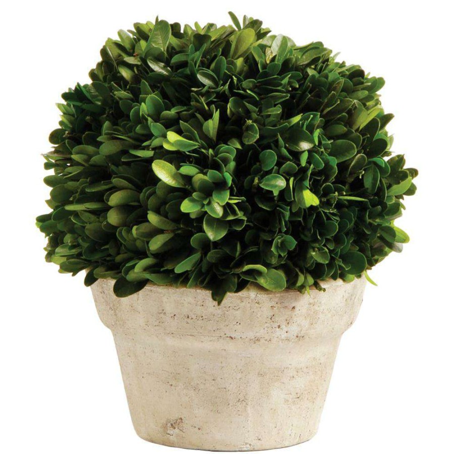 Decor * | Marin French Country Green Boxwood In Pot Small Official