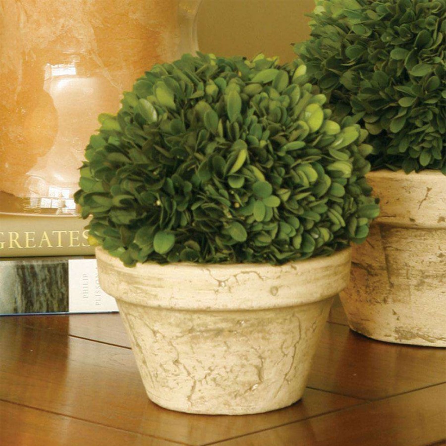 Decor * | Marin French Country Green Boxwood In Pot Small Official