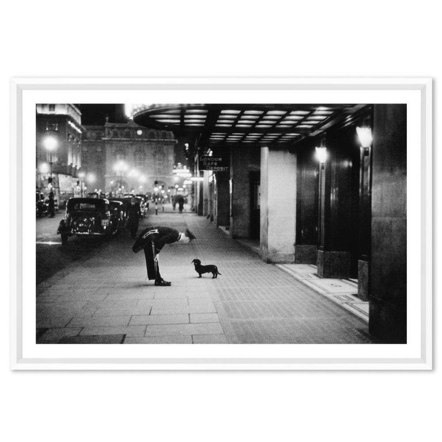 Art * | Photos By Getty Images Kurt Hutton Dachshund Dog Whiteframe Photograph 25 17 Less Expensive