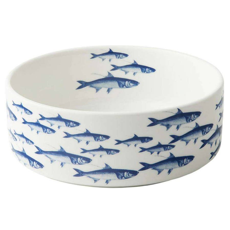 Decor * | Caskata School Of Fish Coastal Beach White Porcelain Pet Bowl Medium Top Sell