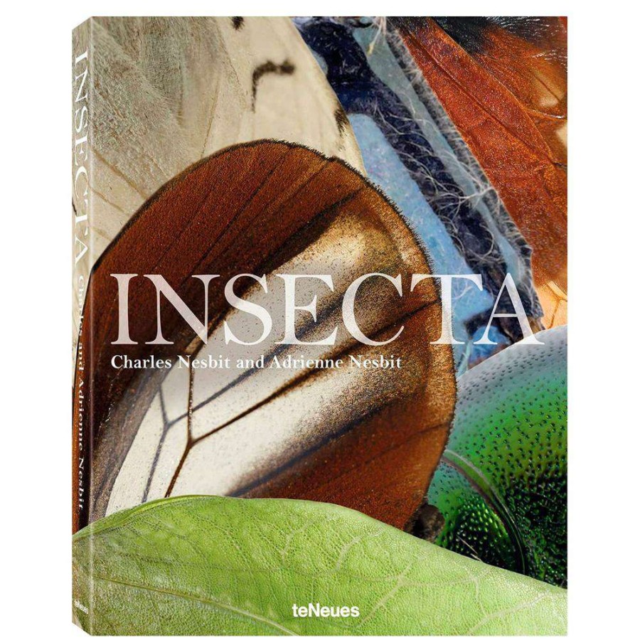 Decor * | Teneues Insecta Hardcover Book Reasonable Price