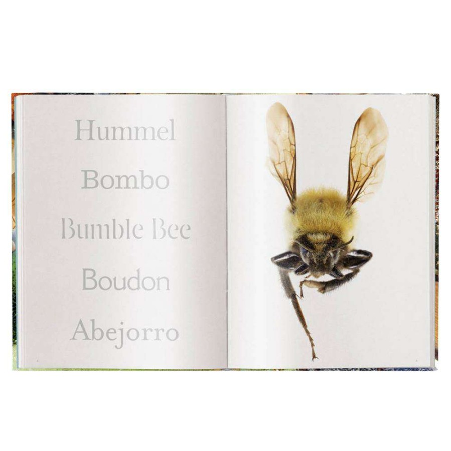 Decor * | Teneues Insecta Hardcover Book Reasonable Price