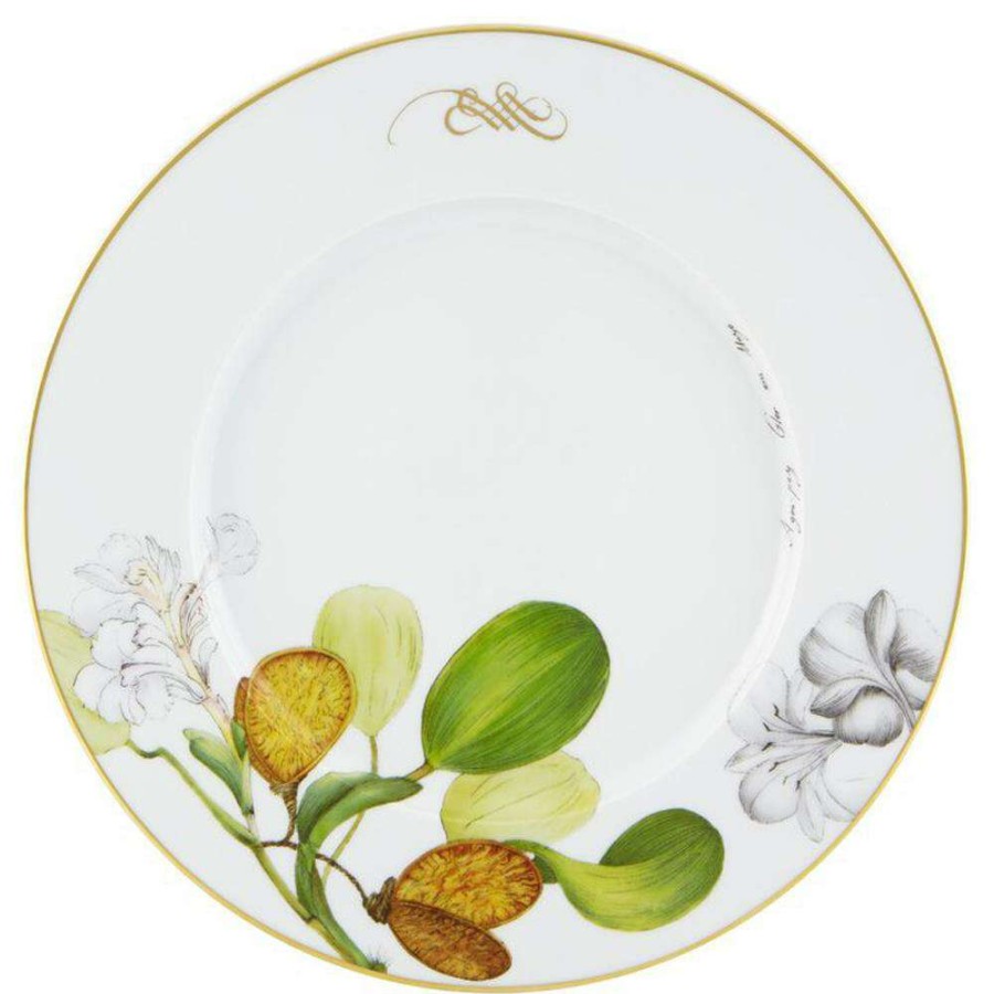 Dining & Bar * | Vista Alegre Amazonia Global Bazaar White Porcelain Dinner Plate Set Of 4 Promotion