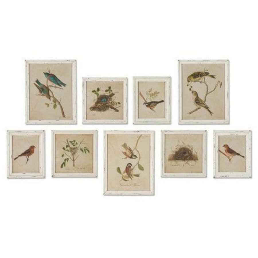 Art * | Cielo French Country Bird And Nest Animals & Nature White Frame Illustration Set Of 9 Best Choice