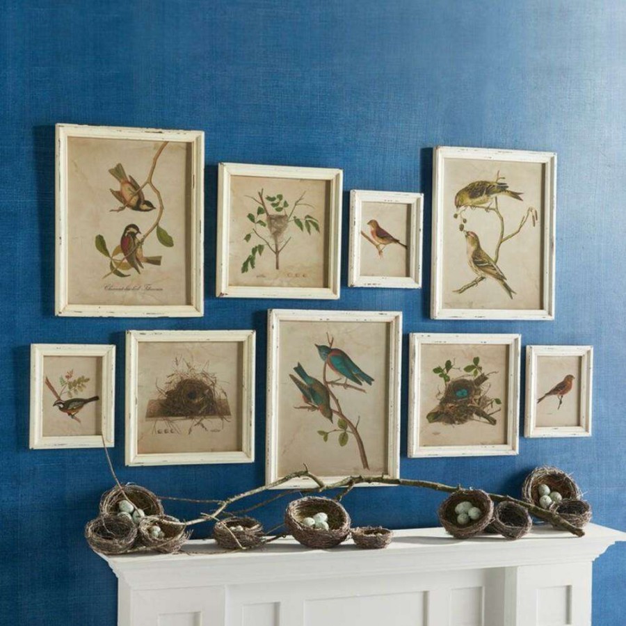 Art * | Cielo French Country Bird And Nest Animals & Nature White Frame Illustration Set Of 9 Best Choice