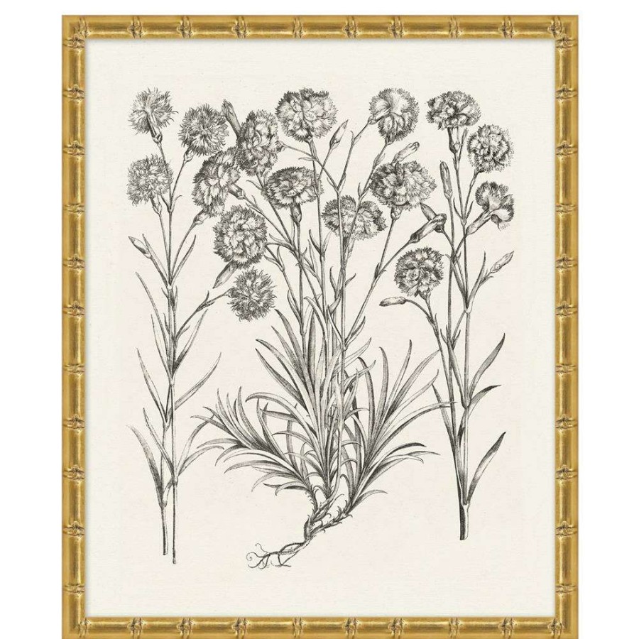 Art * | Amanda French Country Black Floral & Botanical Gold Frame Illustration 13 Less Expensive