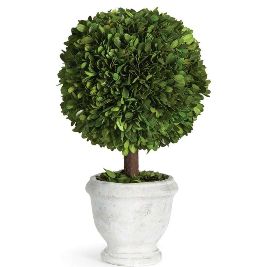 Decor * | Caelum French Country White Potted Green Topiary Boxwood Small Excellent