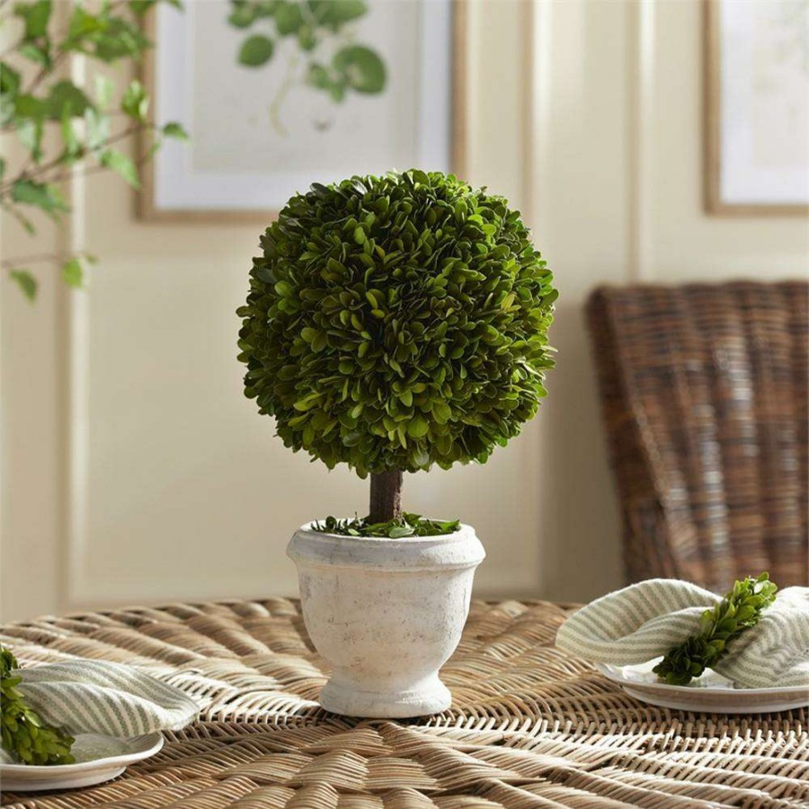 Decor * | Caelum French Country White Potted Green Topiary Boxwood Small Excellent